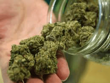 Understanding the Use of Marijuana