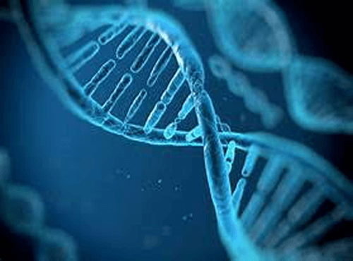 Genetic Testing - Natural Medicine Group